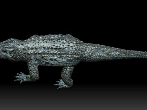 alligator crocodile 3D Model