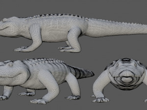 alligator crocodile 3D Модель