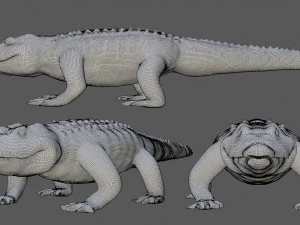 alligator crocodile 3D Model