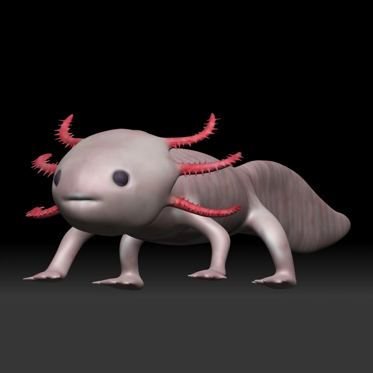 axolotl 3D Model .c4d .max .obj .3ds .fbx .stl .blend
