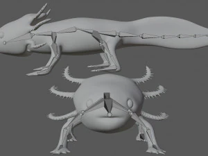 axolotl 3D Model