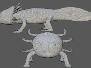 axolotl 3D Model
