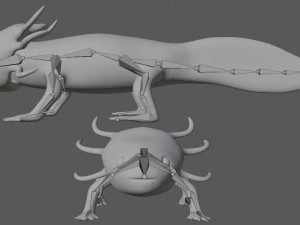 axolotl 3D Model