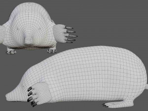 mole Modello 3D