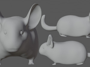 chinchilla Model 3D