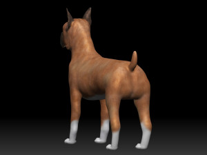 boxer bullmastiff dog 3D 模型