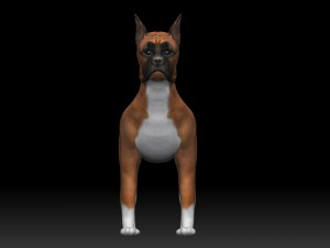 boxer bullmastiff dog 3D 模型