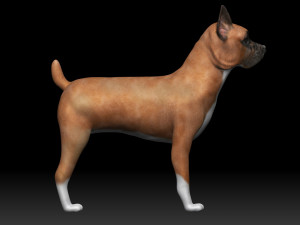 boxer bullmastiff dog 3D 模型