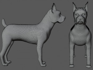 boxer bullmastiff dog 3D 模型