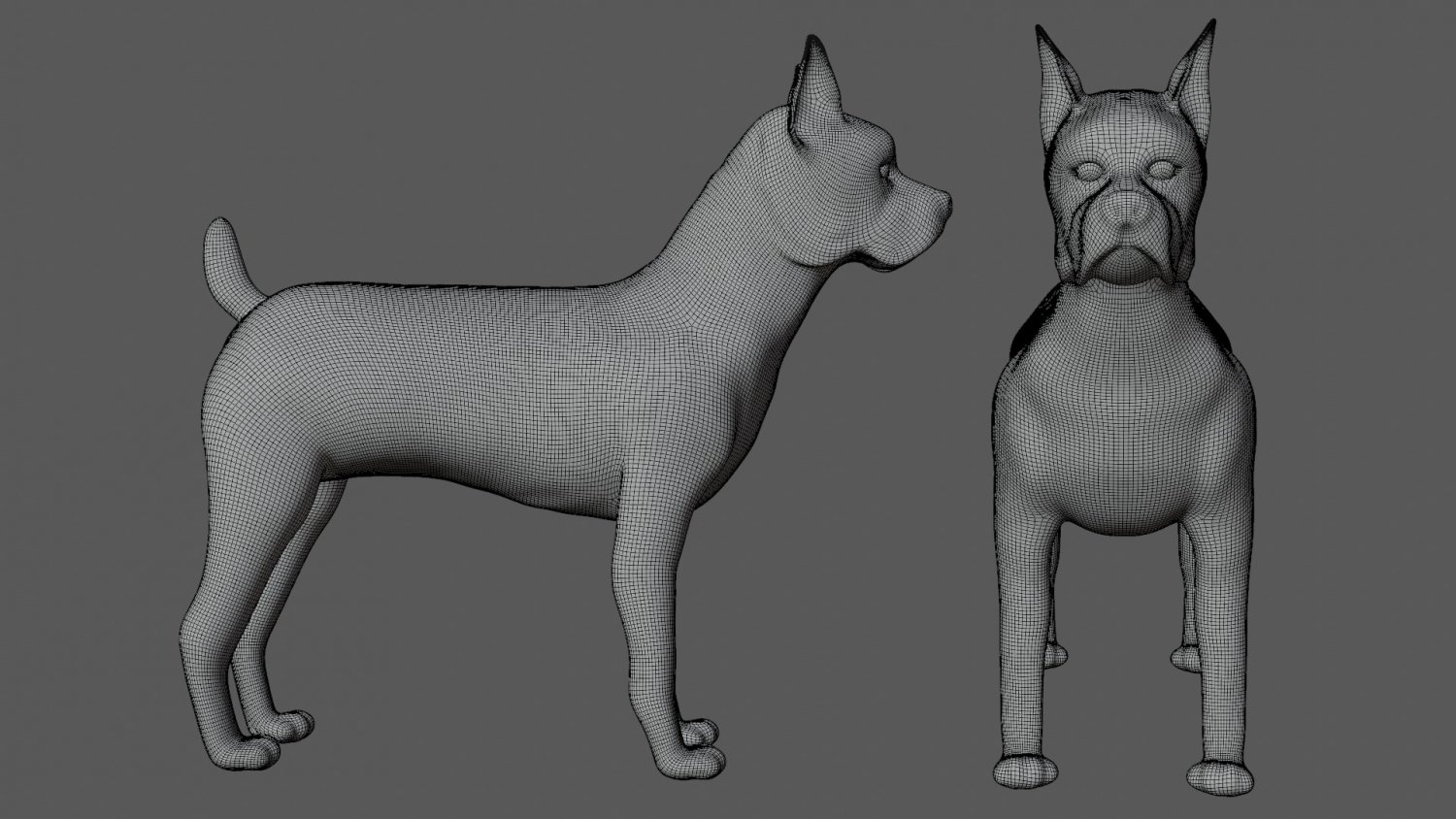 Дог 3д модель. Коллекция 3d собаки. Dog 3d model. Модел дог тело стрижка. Собака 3д.