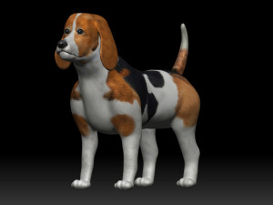 beagle dog 3D Model
