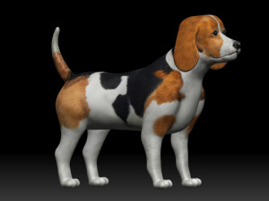 beagle dog 3D Model