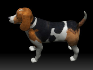 beagle dog 3D Model