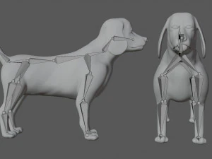 beagle dog 3D Model