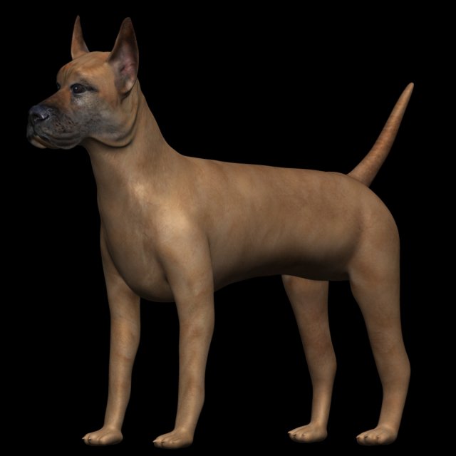 great dane dog 3D-Modell .c4d .max .obj .3ds .fbx .stl .blend 