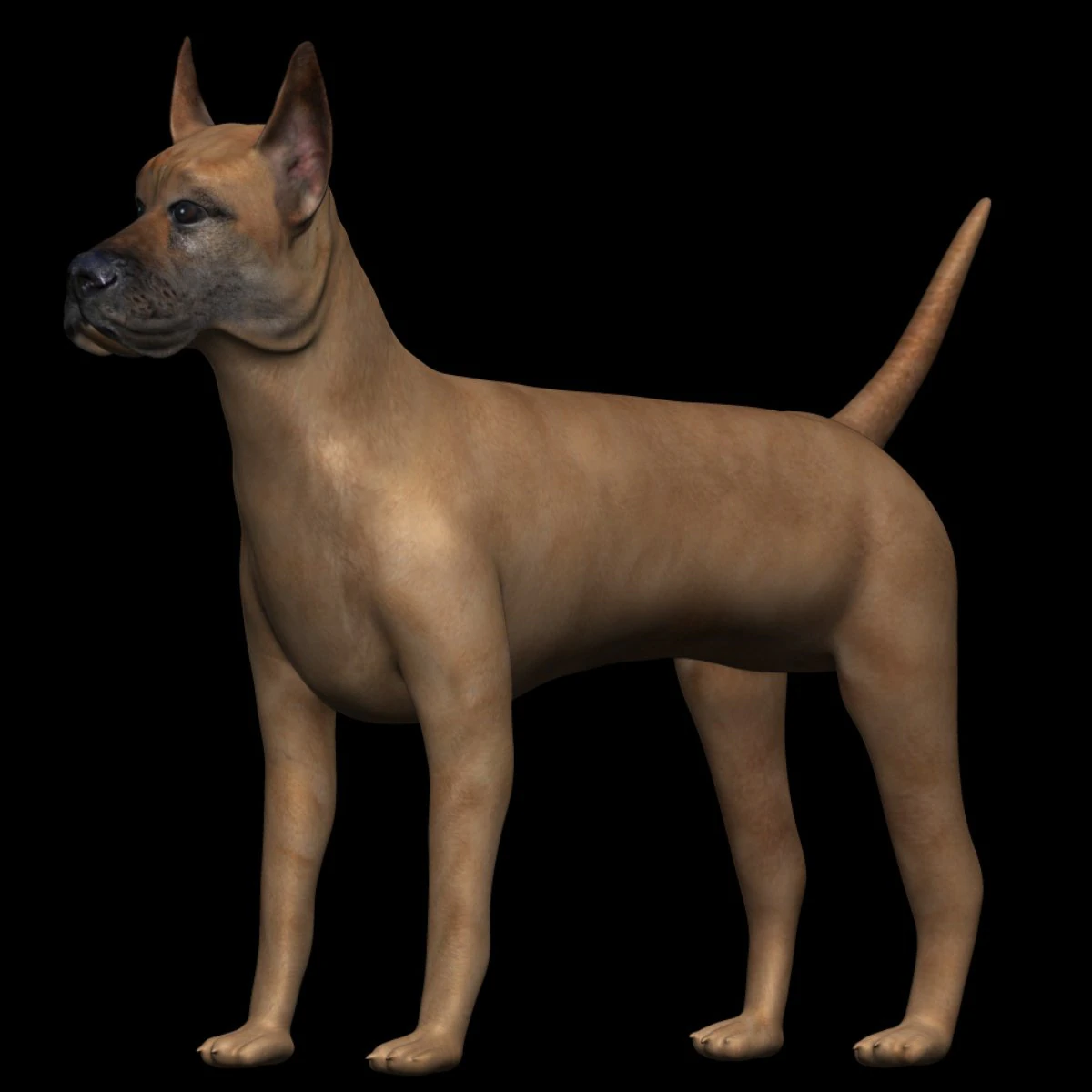 great dane dog 3D Model .c4d .max .obj .3ds .fbx .stl .blend 