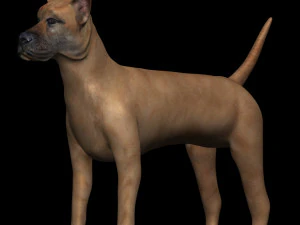 cane alano Modello 3D