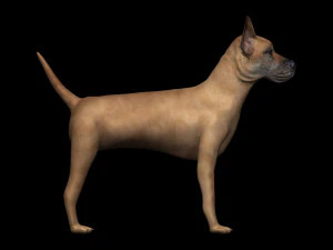 great dane dog 3D Model