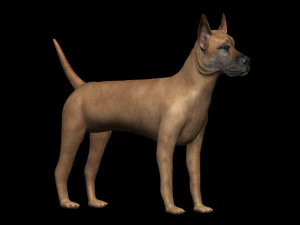 great dane dog 3D Model