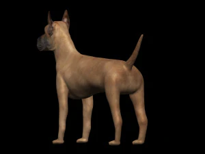 great dane dog 3D Model