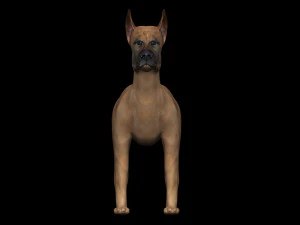 great dane dog 3D Model