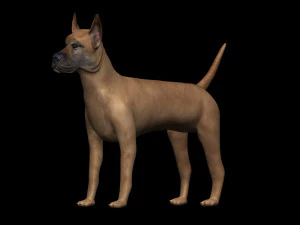 great dane dog 3D Model