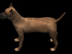 great dane dog 3D-Modell