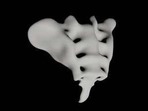 human tail bone tailbone 3D Model