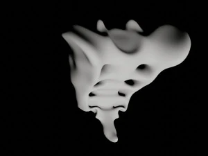 human tail bone tailbone 3D Model