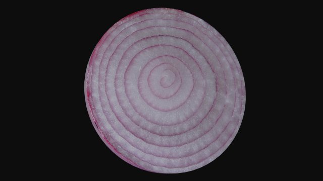 onion slice Model 3D .c4d .max .obj .3ds .fbx .stl .blend 