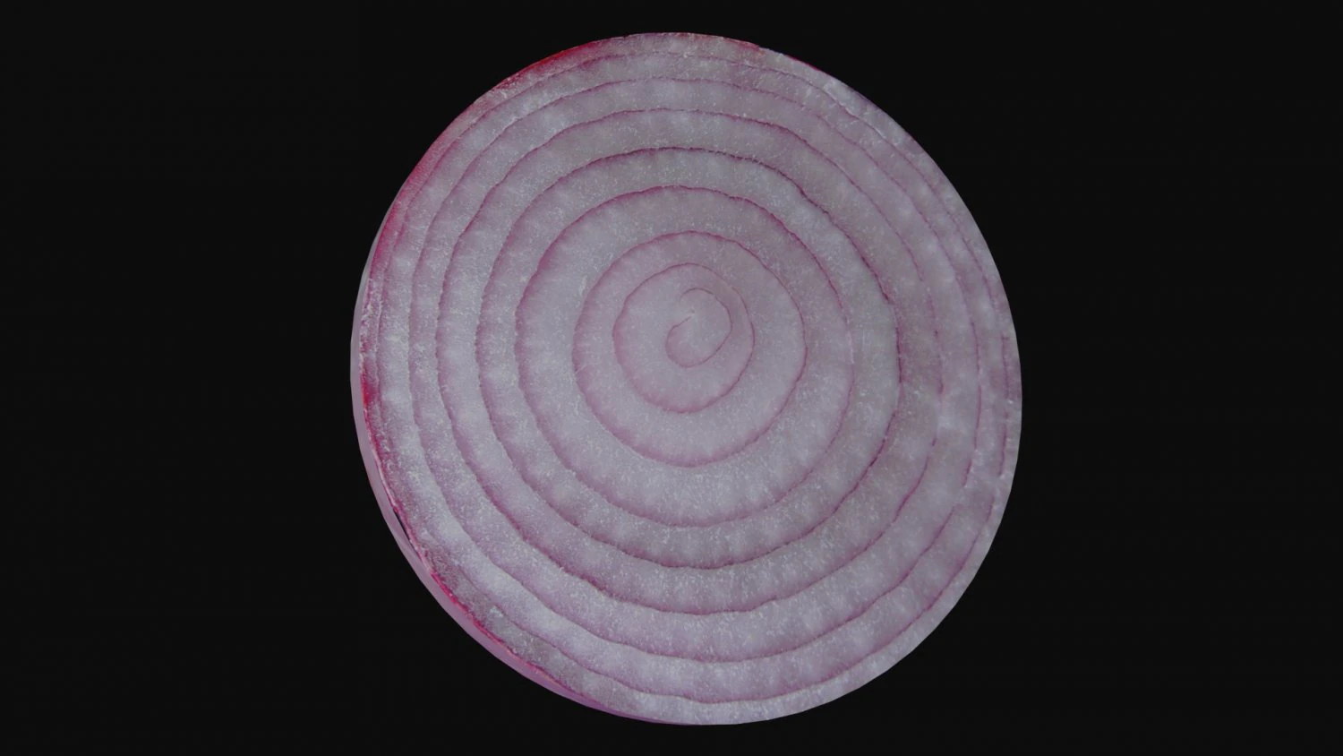 onion slice 3D Model .c4d .max .obj .3ds .fbx .stl .blend 