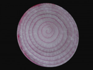 onion slice 3D-Modell