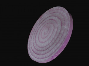 onion slice Model 3D