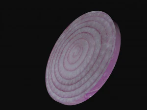 onion slice 3D Model