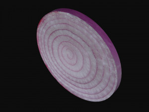onion slice Model 3D