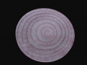 onion slice Model 3D