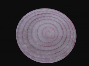 onion slice 3D Model