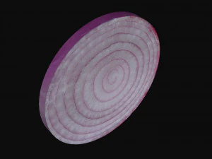 onion slice 3D Model