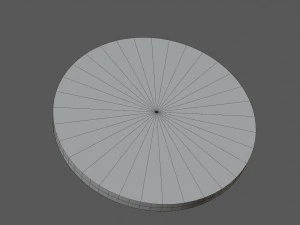 onion slice 3D Model