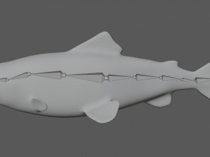 salmon fish 3D Model