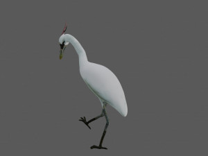crane bird 3D मॉडल