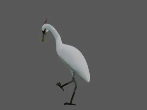crane bird 3D Model