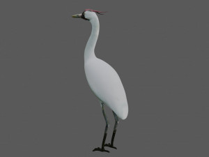 crane bird 3D मॉडल