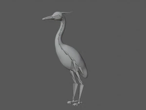 crane bird 3D Model