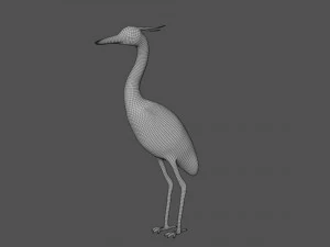 crane bird 3D Model
