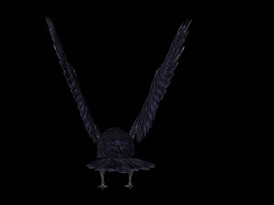 raven black crow bird 3D Model