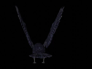 raven black crow bird 3D Model