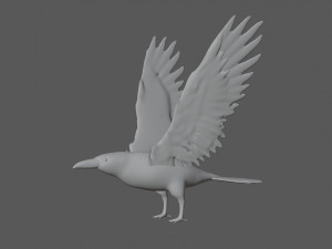 raven black crow bird 3D Model