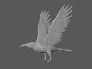 raven black crow bird 3D Model