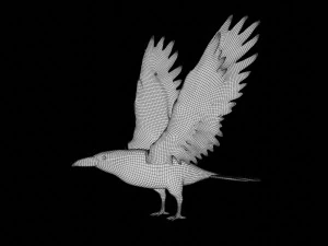 raven black crow bird 3D Model